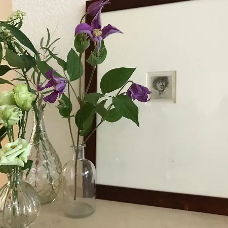 Semesterbostad Aan Het Plantsoen