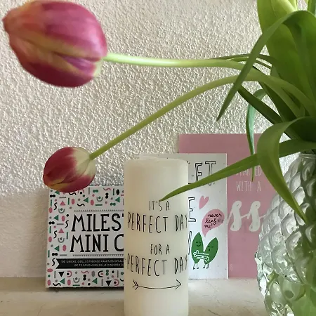 Aan Het Plantsoen Semesterbostad