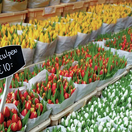 Aan Het Plantsoen Hébergement de vacances Amsterdam